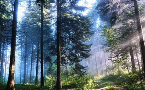 Therapie_Basee_sur _la_relaxation_M
